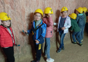 Zdjęcie 14 na 17