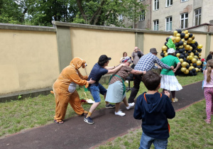 Zdjęcie 21 na 33