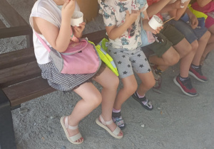Zdjęcie 8 na 20