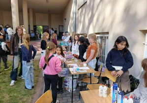 Zdjęcie 8 na 15