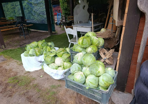Zdjęcie 18 na 57
