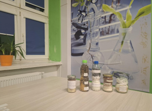 Światowy Dzień Gleby