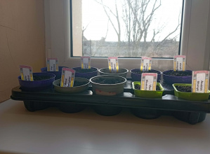 2A - warsztaty ogrodnicze