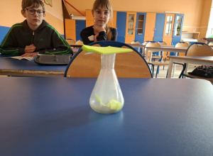 Projekt Panda - koło geograficzne