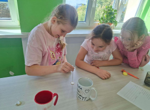 4B - koło przyrodnicze