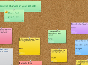 What could be changed in your school?