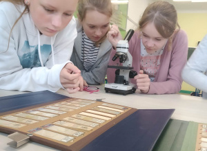 Lekcja biologii w klasach piątych