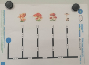 3B - Uczymy Dzieci Programować