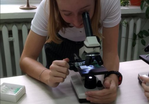 zajęcia z mikroskopem